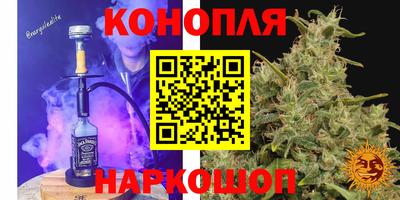 дмт Кингисепп