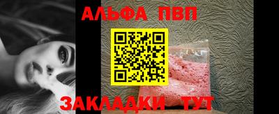 дмт Кингисепп