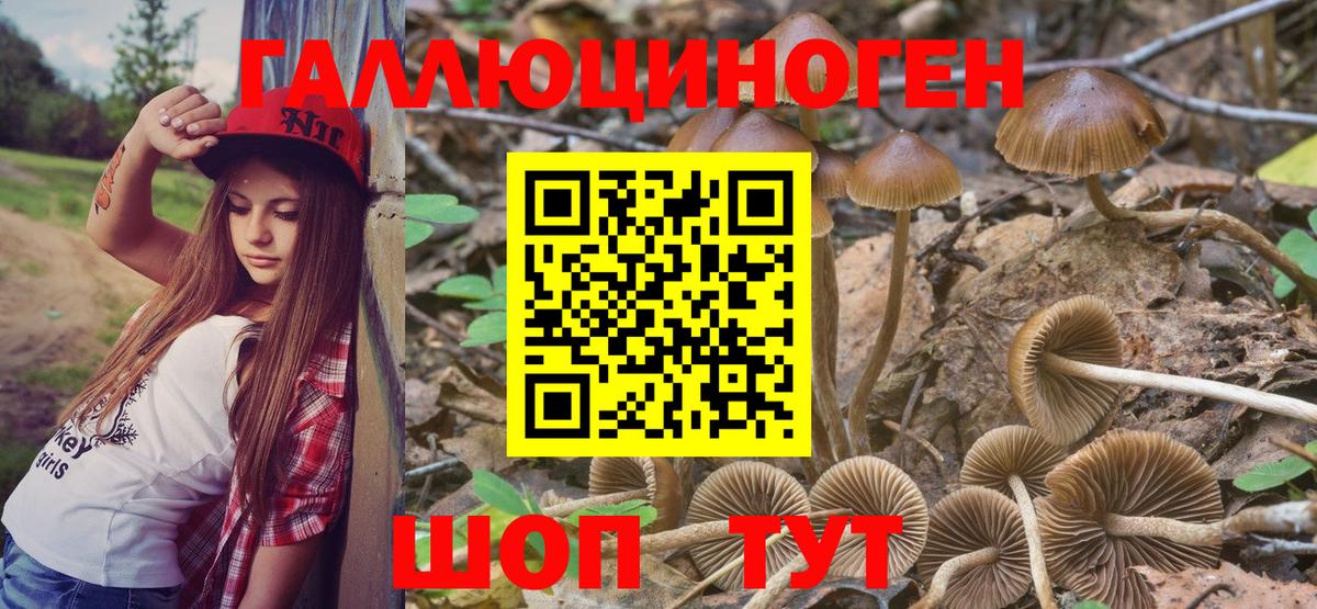 Галлюциногенные грибы ЛСД  Вход с VPN  Россия  Псилоцибиновые грибы GOLDEN TEACHER 
